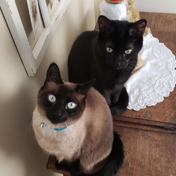 Meet your Posher, Audrie - Picture 1 of 1